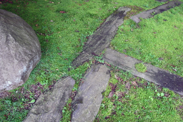 image0131