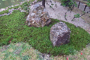 image0149